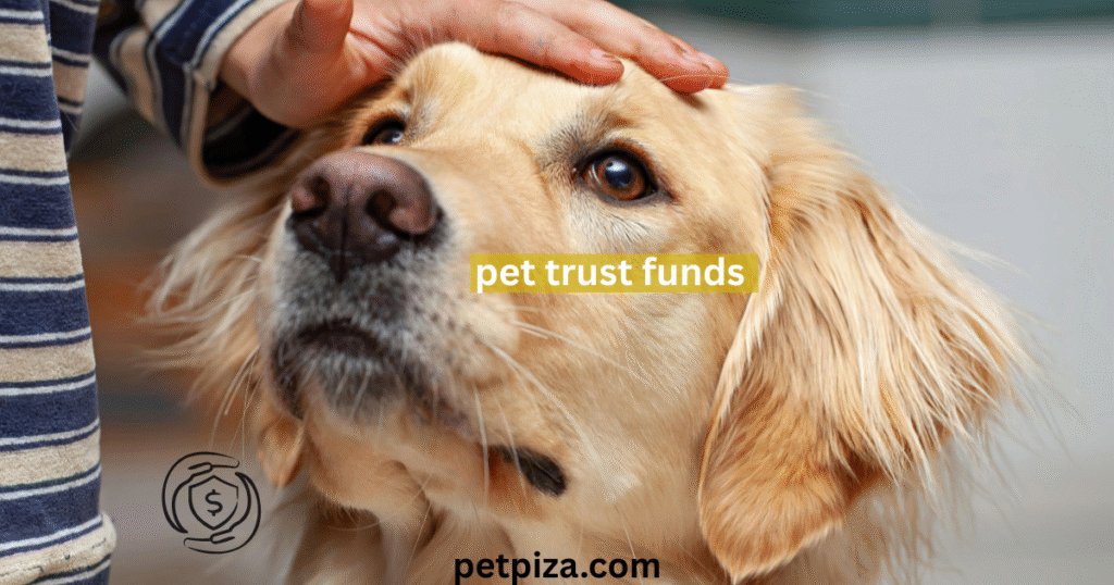 A Complete Guide to Pet Trust Funds 