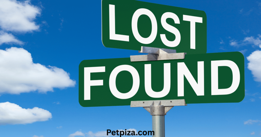 2. Check the Animal for any Form of Identification  