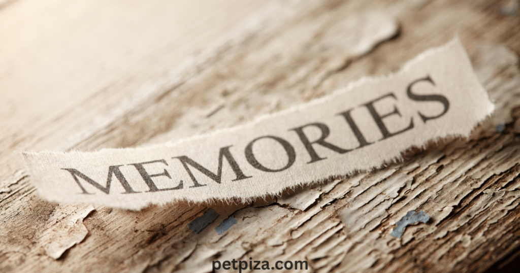 Think About Placement: