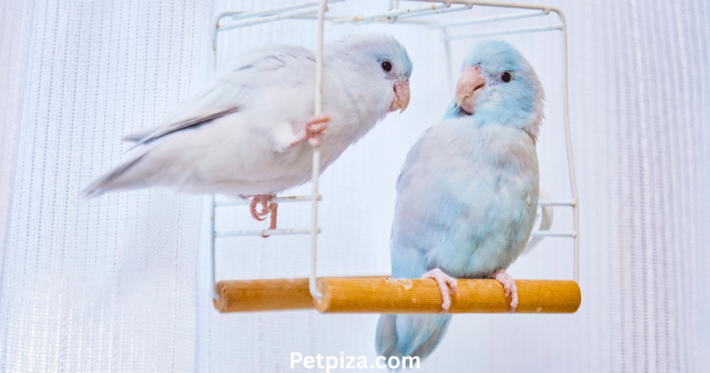 5. Urns and Other Memorial Products