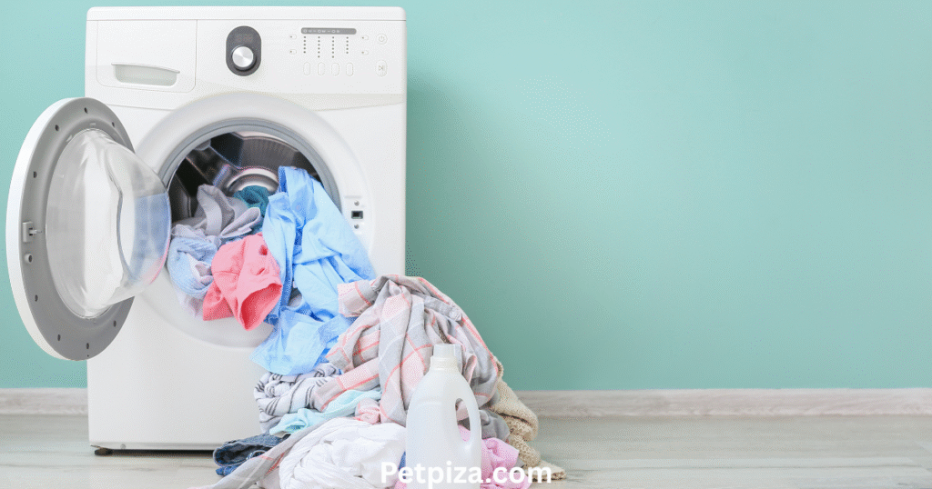 A Guide to Pet Safe Laundry Detergent
