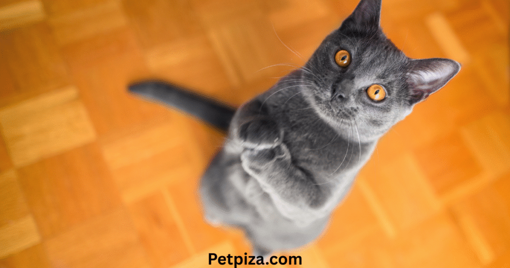 Essential Components of a Website