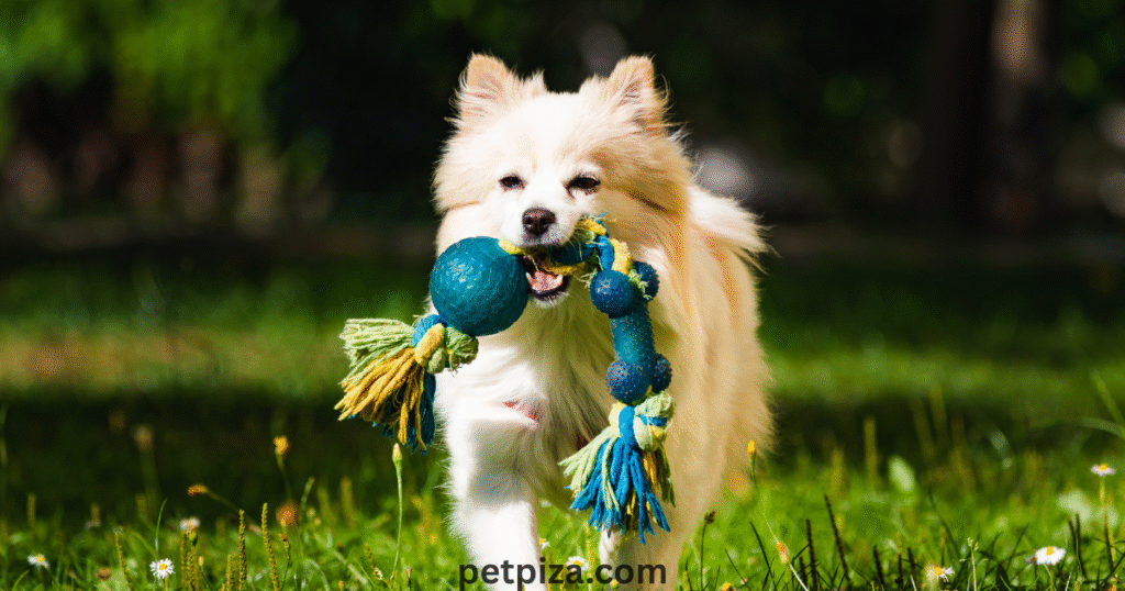 Home Maintenance and Practical DIY