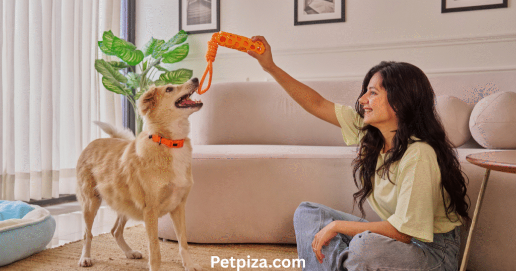 How is Veterniary Cremation Priced