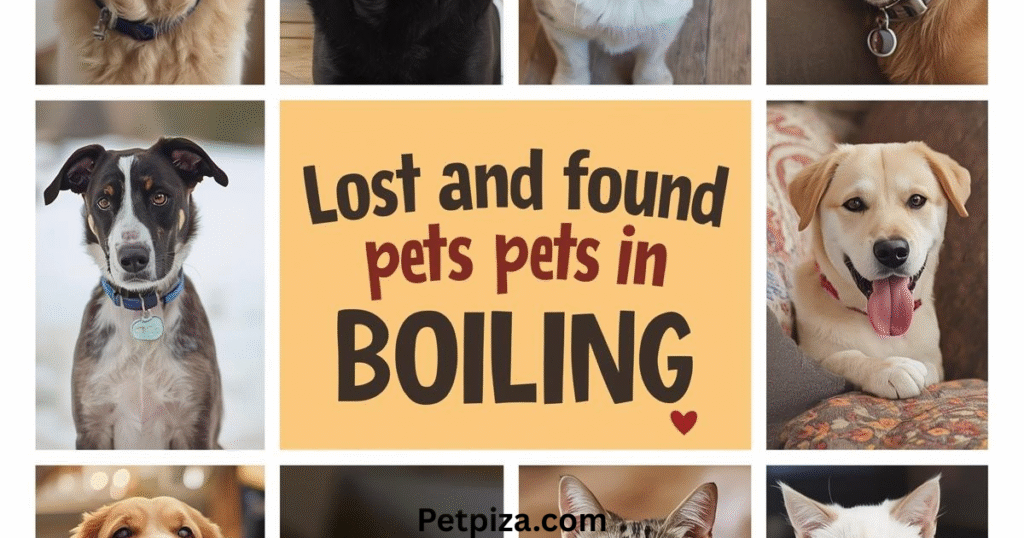 Making effective posters for lost pets