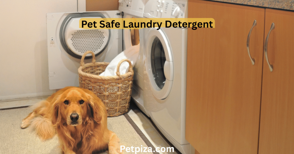 A Guide to Pet Safe Laundry Detergent