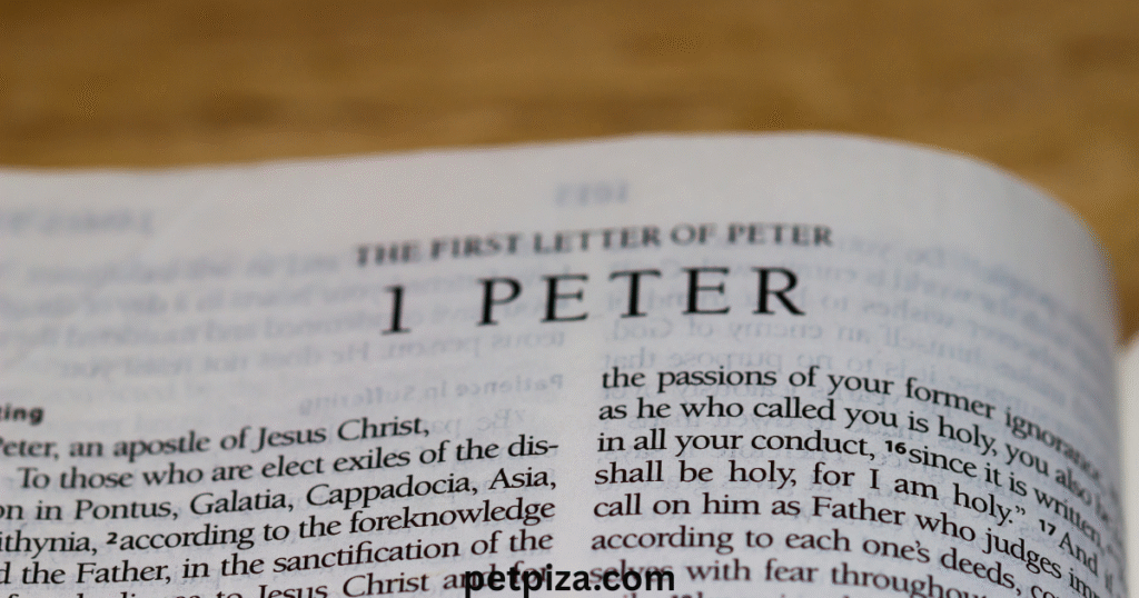 Peter Lockwood Lock-7 A Guide to His Expert Insights