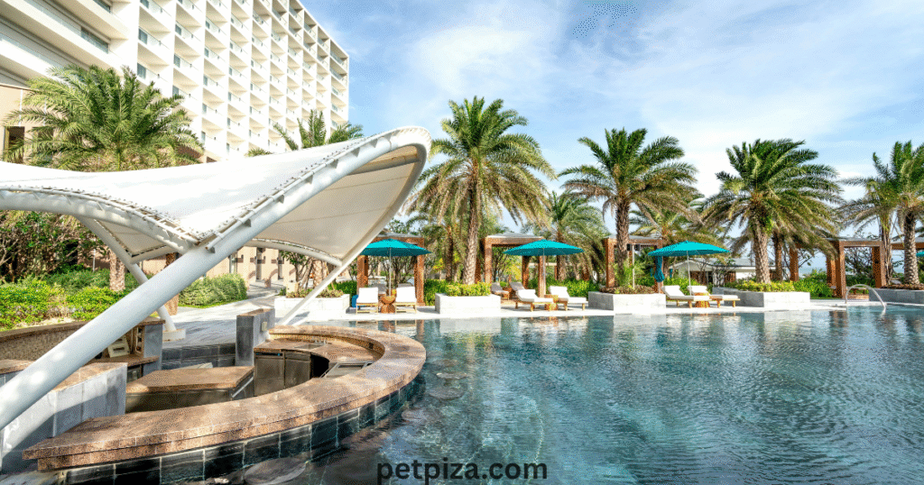 US Seasonal Tips Traveling with Dogs in Maine