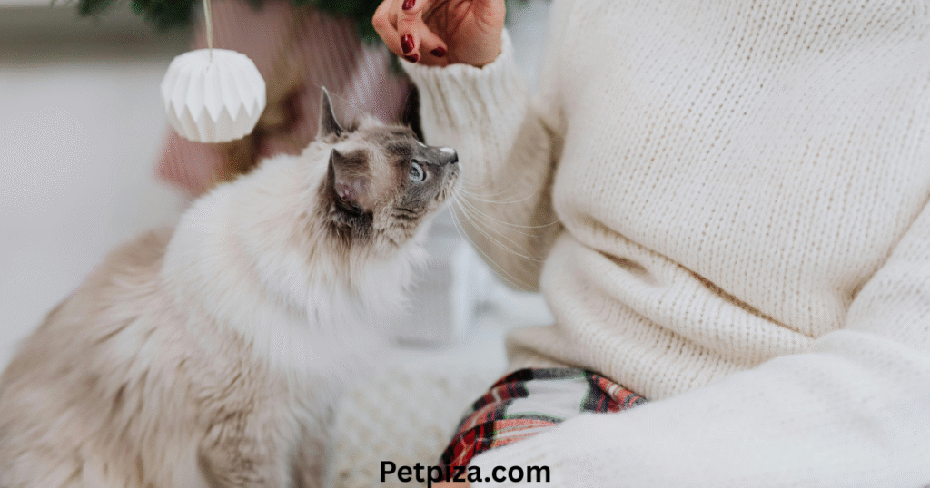 Understanding Pricing and Value