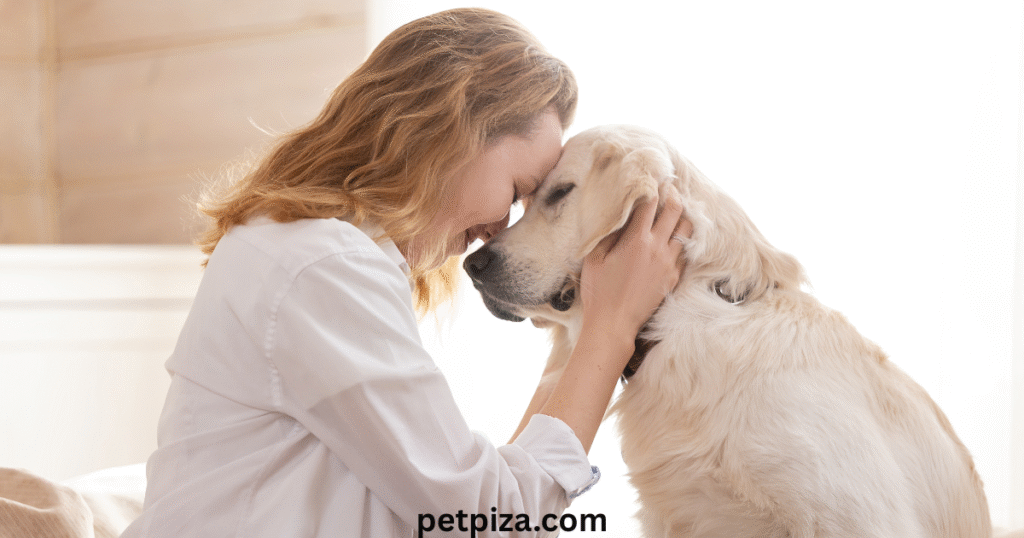 What is a Pet Memorial Rock and Why is it Important