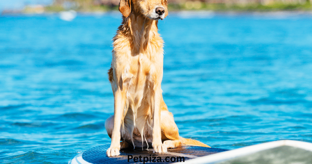 What to Know Before You Go