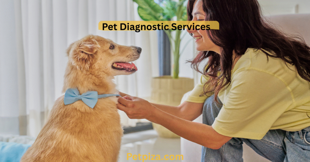 The Cost of Pet Cremations: An Informational Guide