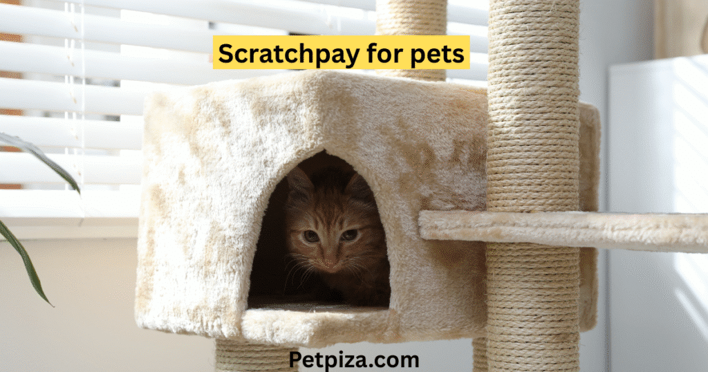 A Pet Owner’s Guide to Scratchpay for Pets  