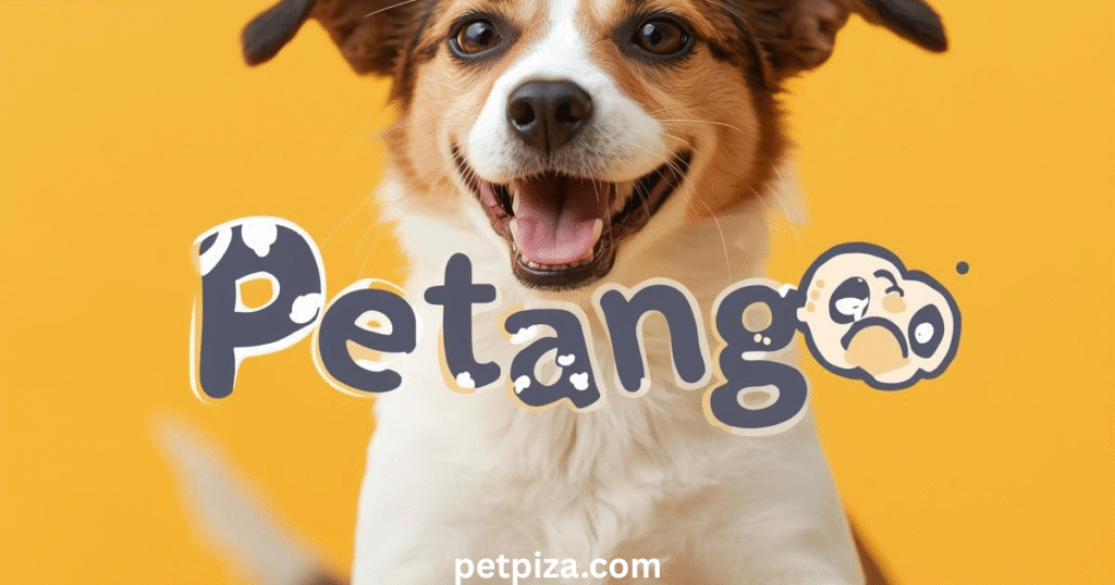 Being Committed Payments and Adoption Processes