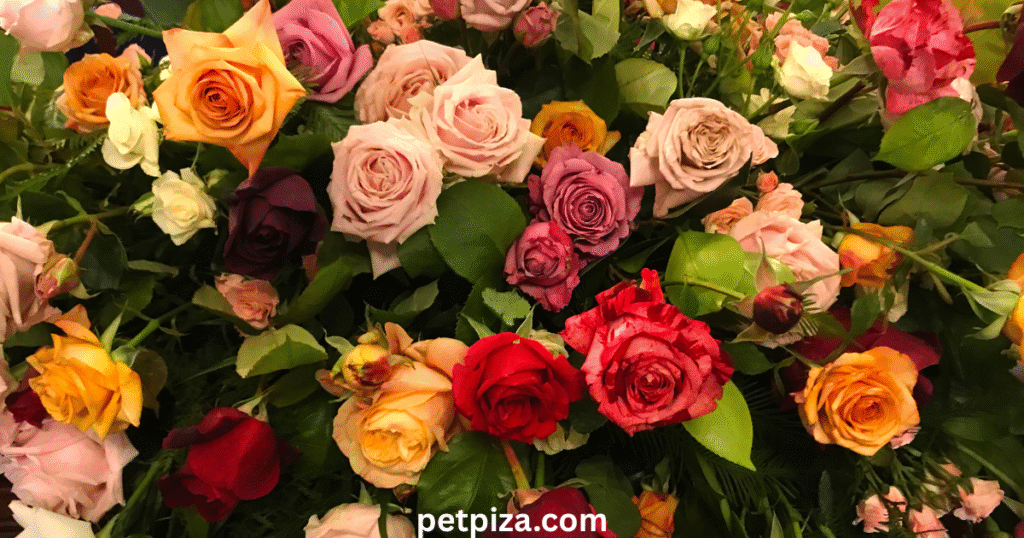 Casket Burial Alternatives