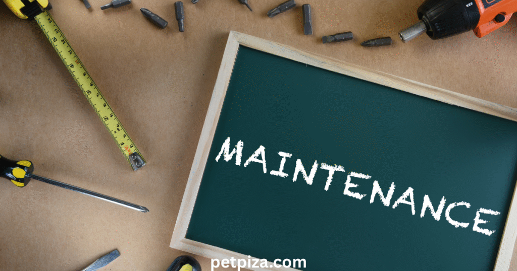 Low Maintenance Mammals  