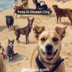 Pets in Ocean City