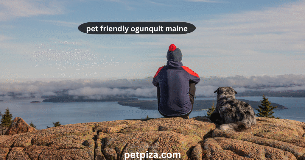 Your Guide to Pet-Friendly Ogunquit, Maine