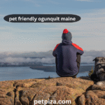 pet friendly ogunquit maine