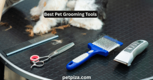 Best Pet Grooming Tools
