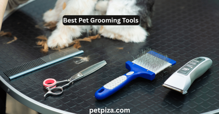 Best Pet Grooming Tools