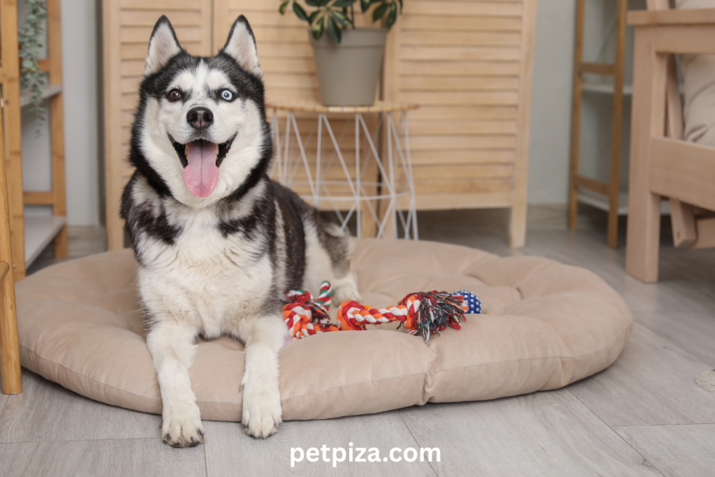 Smart Strategies for a Cleaner Bed  