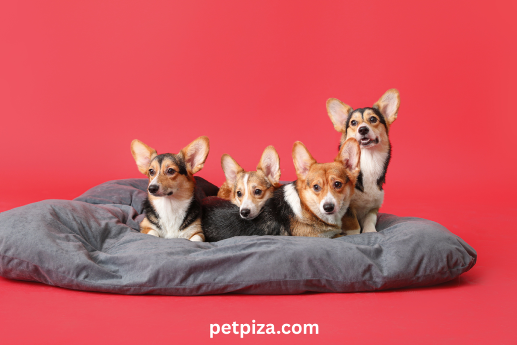 What Makes Certain pet hair-resistant bedding Linens Resistant to Pet Fur