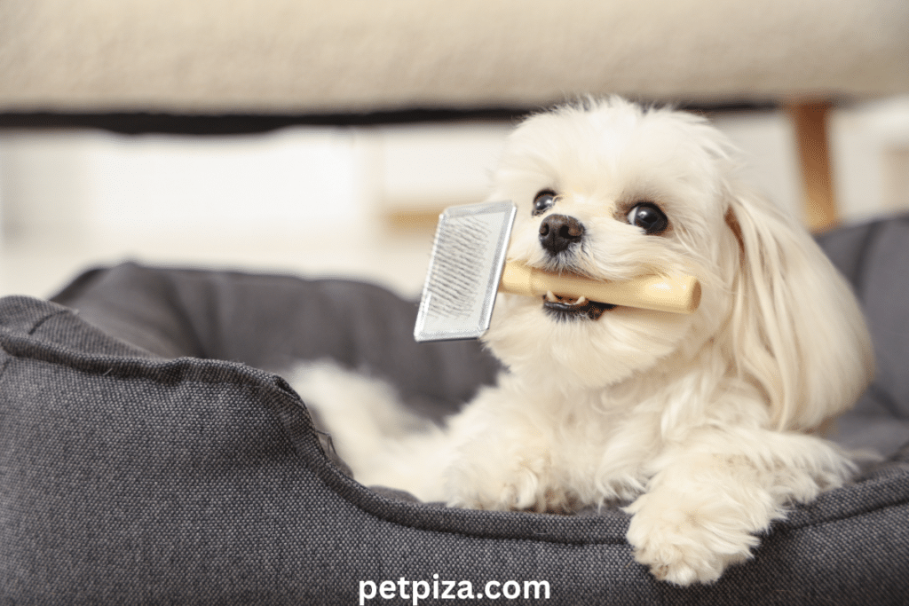 pet-friendly bedding.