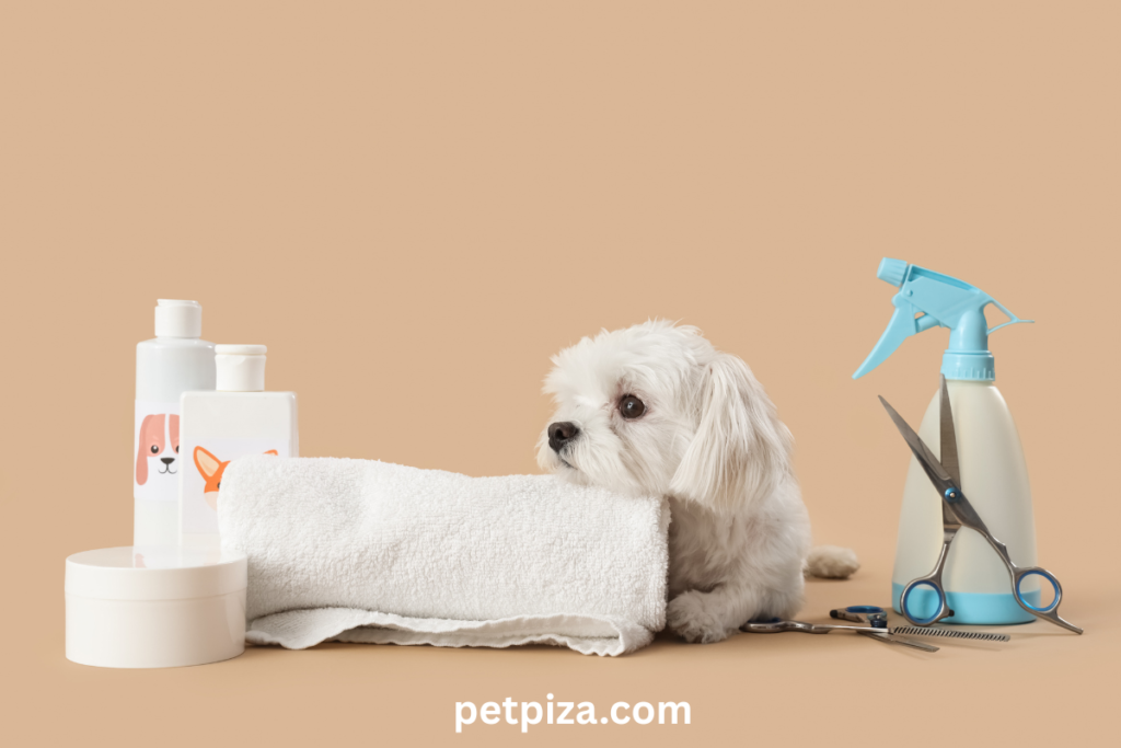 pet grooming tools for beginners