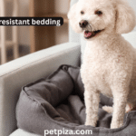 Discover Best Pet Hair Resistant Bedding