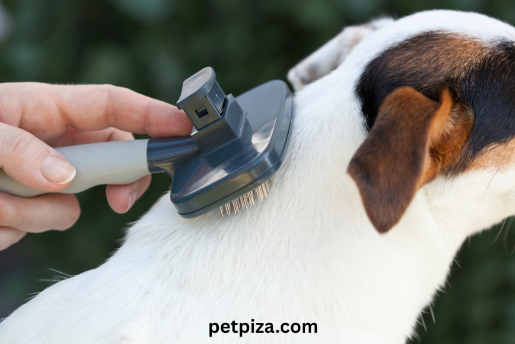 ✂️Grooming Yourself at Home A Step-by-Step Guide