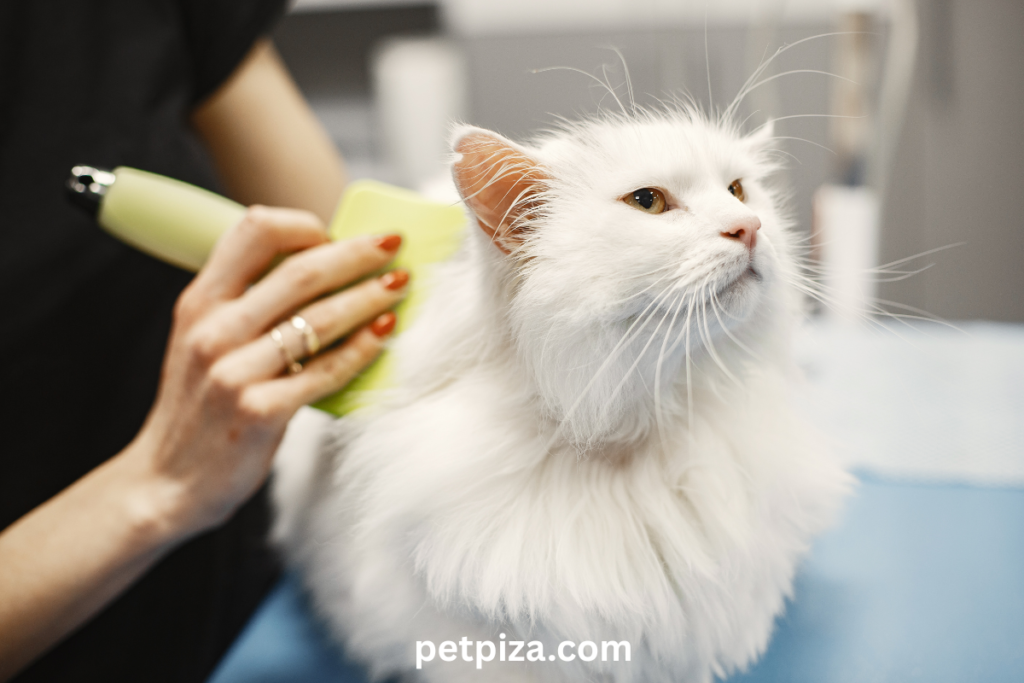 🐕 Home Grooming Your Pet Advantages