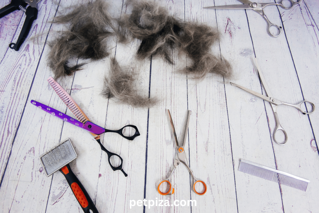 🤔 How to Pick the right Grooming bundle