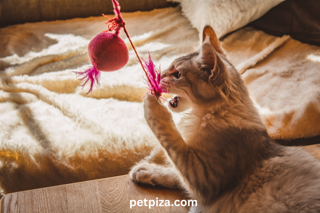 Biodegradable Cat Urns