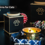 Best Pet Urns for Cats: 10 Beautiful Memorial Urns for Your Beloved Companion