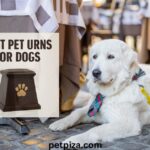 Best Pet Urns for Dogs: Find the Perfect Memorial for Your Dog(2026)