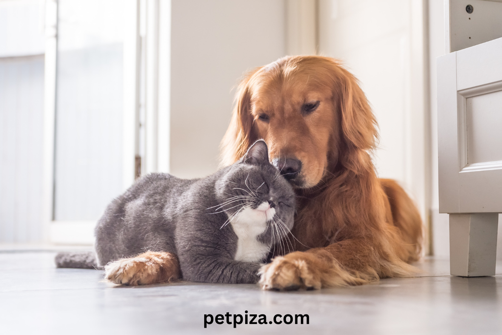 Best Dog Chews in Bulk Boss PetEdge
